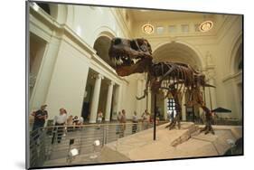 Tyrannosaurus Rex (Sue), Field Museum in Chicago, Illinois, USA-null-Mounted Art Print