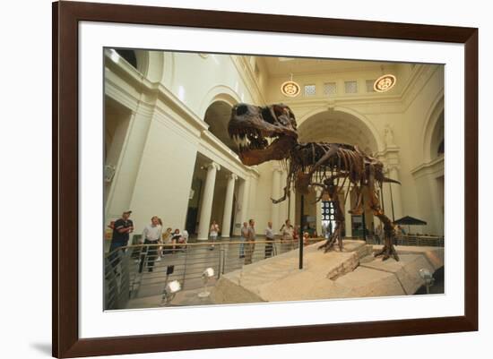 Tyrannosaurus Rex (Sue), Field Museum in Chicago, Illinois, USA-null-Framed Art Print