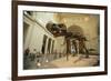 Tyrannosaurus Rex (Sue), Field Museum in Chicago, Illinois, USA-null-Framed Art Print