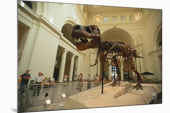 Tyrannosaurus Rex (Sue), Field Museum in Chicago, Illinois, USA-null-Mounted Art Print