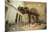 Tyrannosaurus Rex (Sue), Field Museum in Chicago, Illinois, USA-null-Mounted Art Print