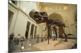 Tyrannosaurus Rex (Sue), Field Museum in Chicago, Illinois, USA-null-Mounted Art Print