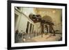 Tyrannosaurus Rex (Sue), Field Museum in Chicago, Illinois, USA-null-Framed Art Print