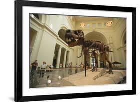 Tyrannosaurus Rex (Sue), Field Museum in Chicago, Illinois, USA-null-Framed Art Print