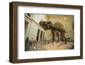 Tyrannosaurus Rex (Sue), Field Museum in Chicago, Illinois, USA-null-Framed Art Print