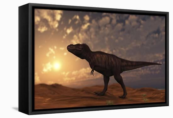 Tyrannosaurus Rex Walking across a Desert at Sunset-null-Framed Stretched Canvas