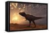 Tyrannosaurus Rex Walking across a Desert at Sunset-null-Framed Stretched Canvas
