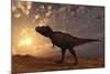 Tyrannosaurus Rex Walking across a Desert at Sunset-null-Mounted Art Print