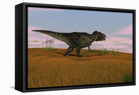 Tyrannosaurus Rex Walking across a Grassy Field-null-Framed Stretched Canvas