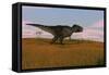 Tyrannosaurus Rex Walking across a Grassy Field-null-Framed Stretched Canvas