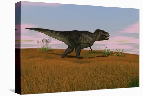 Tyrannosaurus Rex Walking across a Grassy Field-null-Stretched Canvas