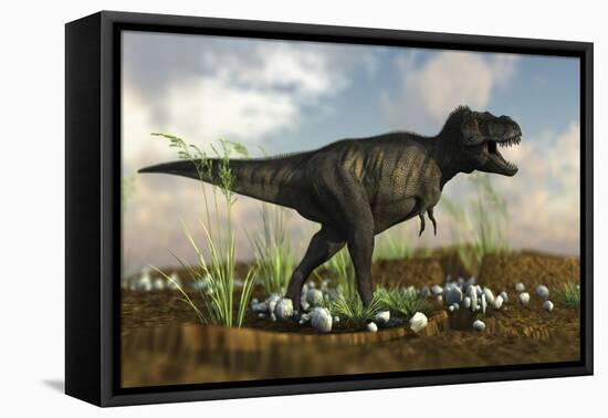 Tyrannosaurus Rex Walking across Desert Terrain-null-Framed Stretched Canvas