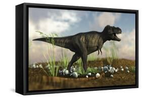 Tyrannosaurus Rex Walking across Desert Terrain-null-Framed Stretched Canvas