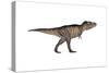 Tyrannosaurus Rex, White Background-null-Stretched Canvas