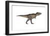 Tyrannosaurus Rex, White Background-null-Framed Art Print