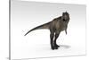 Tyrannosaurus Rex, White Background-null-Stretched Canvas