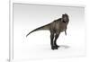 Tyrannosaurus Rex, White Background-null-Framed Art Print