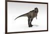 Tyrannosaurus Rex, White Background-null-Framed Art Print