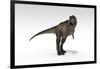 Tyrannosaurus Rex, White Background-null-Framed Art Print