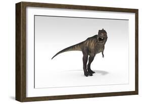 Tyrannosaurus Rex, White Background-null-Framed Art Print