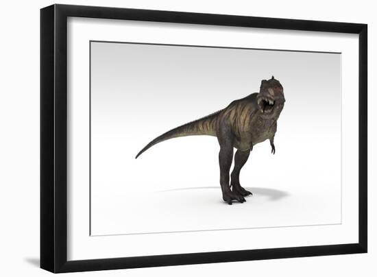 Tyrannosaurus Rex, White Background-null-Framed Art Print