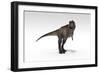 Tyrannosaurus Rex, White Background-null-Framed Art Print