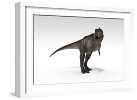 Tyrannosaurus Rex, White Background-null-Framed Art Print