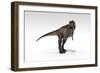 Tyrannosaurus Rex, White Background-null-Framed Premium Giclee Print