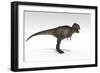 Tyrannosaurus Rex, White Background-null-Framed Art Print