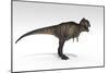 Tyrannosaurus Rex, White Background-null-Mounted Art Print