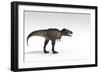 Tyrannosaurus Rex, White Background-null-Framed Art Print