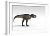 Tyrannosaurus Rex, White Background-null-Framed Art Print