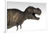 Tyrannosaurus Rex, White Background-null-Framed Art Print