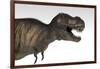 Tyrannosaurus Rex, White Background-null-Framed Art Print