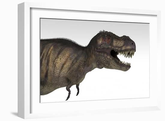 Tyrannosaurus Rex, White Background-null-Framed Art Print