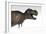 Tyrannosaurus Rex, White Background-null-Framed Art Print