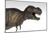 Tyrannosaurus Rex, White Background-null-Mounted Art Print