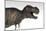 Tyrannosaurus Rex, White Background-null-Mounted Art Print