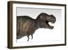 Tyrannosaurus Rex, White Background-null-Framed Premium Giclee Print