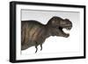 Tyrannosaurus Rex, White Background-null-Framed Premium Giclee Print