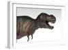 Tyrannosaurus Rex, White Background-null-Framed Premium Giclee Print