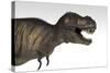 Tyrannosaurus Rex, White Background-null-Stretched Canvas