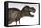 Tyrannosaurus Rex, White Background-null-Framed Stretched Canvas