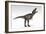 Tyrannosaurus Rex, White Background-null-Framed Art Print