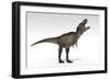 Tyrannosaurus Rex, White Background-null-Framed Art Print