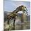 Tyrannosaurus Rex with a Freshly Killed Deinocheirus in its Mouth-Stocktrek Images-Mounted Art Print