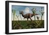 Tyrannosaurus Rex with a Freshly Killed Young Sauropod Dinosaur-null-Framed Art Print