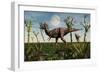 Tyrannosaurus Rex with a Freshly Killed Young Sauropod Dinosaur-null-Framed Art Print