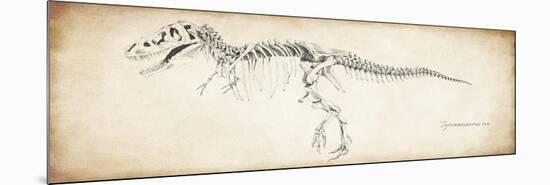 Tyrannosaurus Rex-null-Mounted Premium Giclee Print