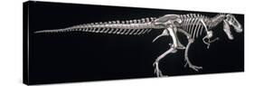 Tyrannosaurus Skeleton, Dinosaurs-Encyclopaedia Britannica-Stretched Canvas